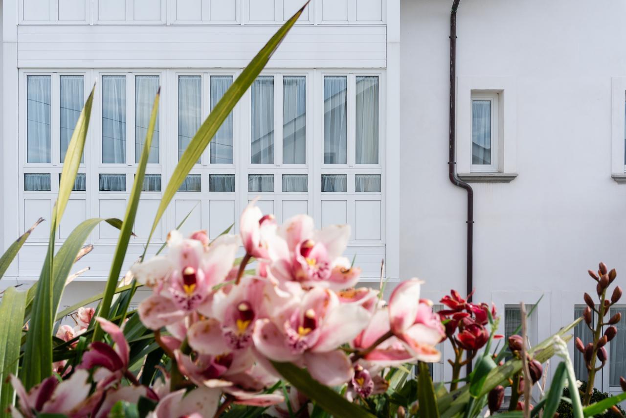 La Casa De Las Camelias Busto 외부 사진